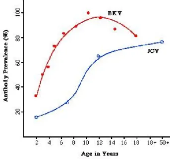 Figura 5. Sieroprevalenza dei polyomavirus BK e JC per classi di età.