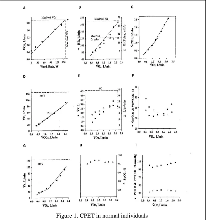 Figure  1.  Progressive  changes  in  several  indices  of  ventilary,  cardiovascular  and  metabolic  response  to  the  exercise,  measured  as  work rate (in watts) or in VO2max (in L/min), in a normal subject (16) 