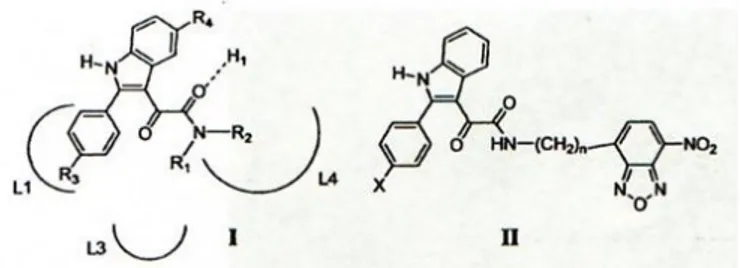 Fig. 7  N,N-dialchil-2-fenilindolgliossilamidi I nel modello farmacoforo/topologico e  formula generale dei ligandi fluorescenti 