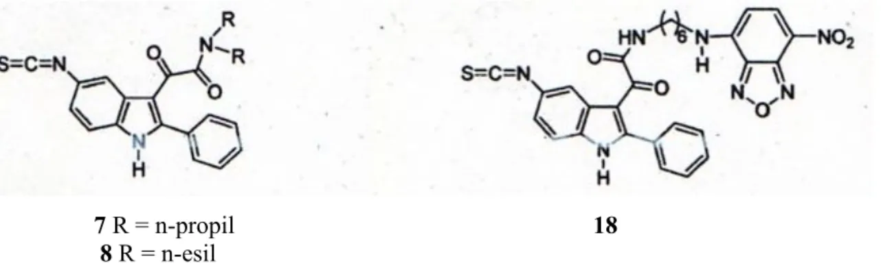 Fig. 10 Strutture dei ligandi per il TSPO 