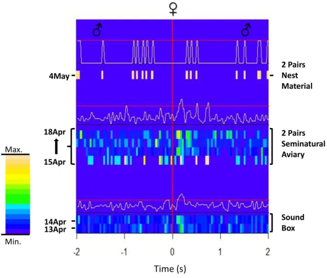 Figure  6.  Development  of  Stack-Stack  calling    patterns  of  couple  B  in  different  experimental  situations