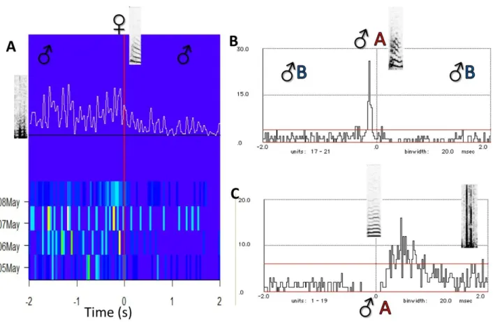 Figure 12. Examples of using temporal cross-correlation tools for studies on the function of calls