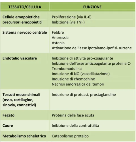 Tabella 2 - Bersagli tessutali e cellulari del TNF 