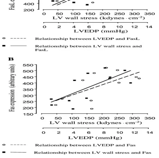 Figura 5. Correlazione lineare tra l'espressione di Fas/FasL e lo stress di parete  del  VS e con LVEDP   (pressione telediastolica ventricolare sinistra)