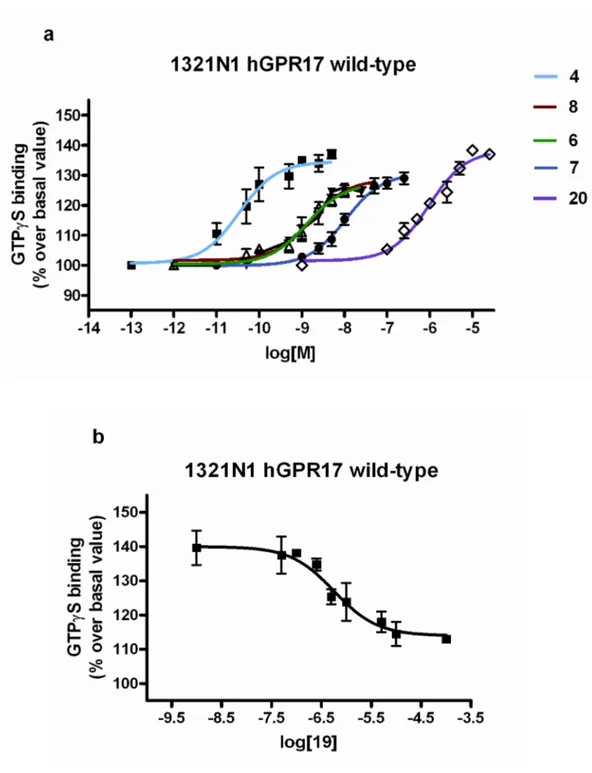 Fig. 1 [ 35 S]GTPγS experiments on wild-type GPR17: (a) dose-response curves of some  compounds of library A in 1321N1 cells expressing wild-type GPR17; (b) antagonistic effect of  12  on  UDP-glucose  stimulation  of  wild-type  GPR17  in  the  [ 35 S]GTP