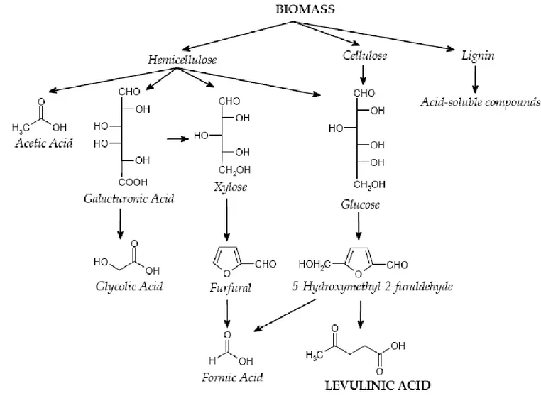Figure 2.3: Possible pathways and products of the acid-catalysed   hydrolysis of a typical lignocellulosic material
