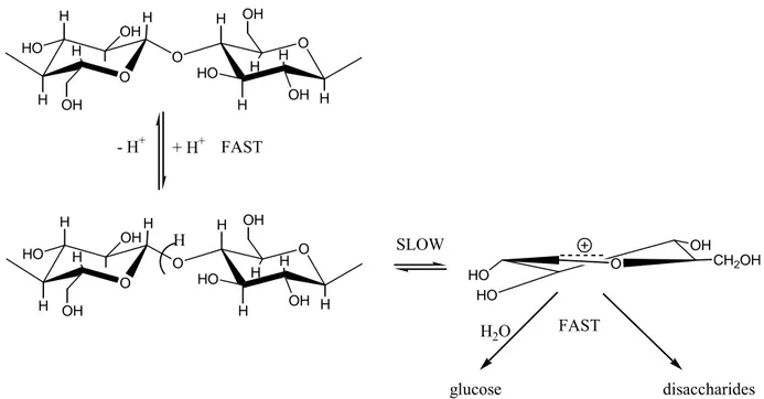 Figure 2.8: Steps involved in the acid hydrolysis of the cellulose [58]  
