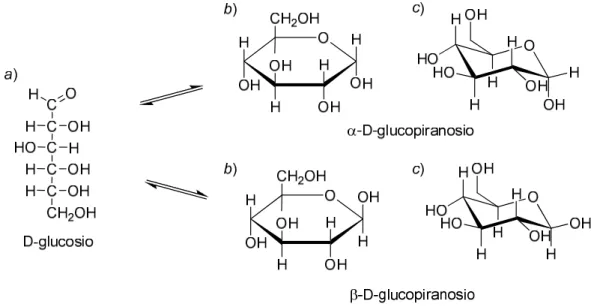Figura 1 .  a) D-Glucosio nella proiezione di Fischer; b) D-glucosio nelle proiezioni di Haworth; c) D- D-glucosio nelle conformazioni a sedia