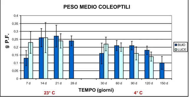 Figura 4.4 Grafico relativo all’accrescimento dei coleoptili, espresso come peso medio in  grammi di peso fresco, relativamente alle due semine al buio (controllo a 23°C e 4°C), e i 