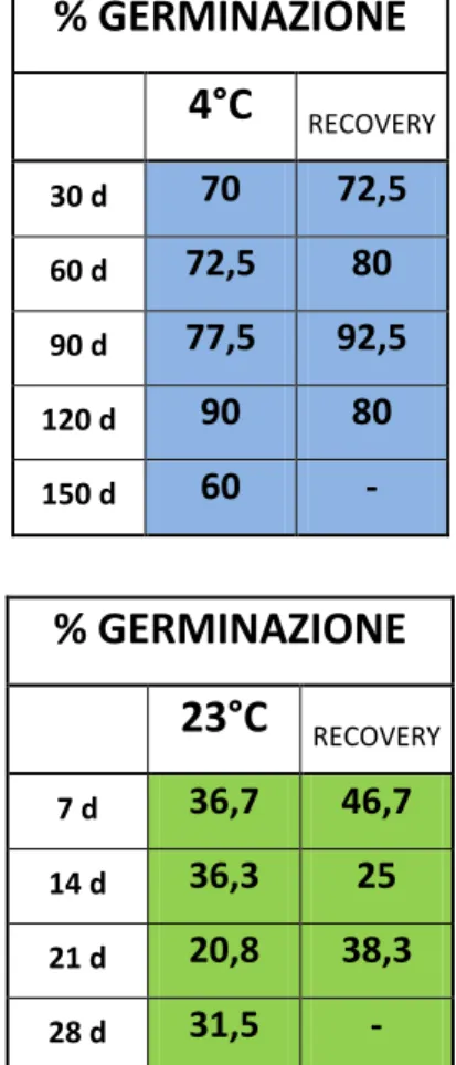 Figura 4.5 Tabelle relative alla percentuale di germinazione media per singolo campionamento