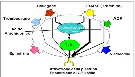 Fig. 8 Fig. 8 Fig. 8