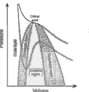 Fig 12. Diagramma di stato dell'emulsione, in grigio la fase metastabile. 