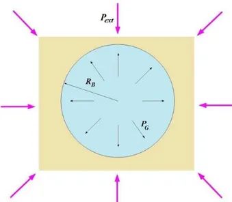Figura 17: Bolla di gas dispersa in una matrice polimerica infinta. 