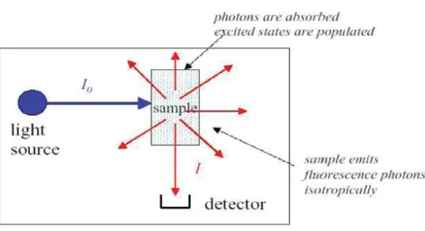 Figure 3.5: A typical fluorescence measurement setup: the light from an excitation source passes through a filter or monochromator, and strikes the sample