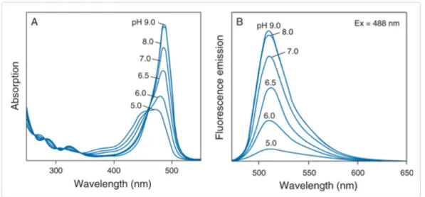 Figure 3.7: Absorption and emission spectra for Fluoresceine pH titration from [23].