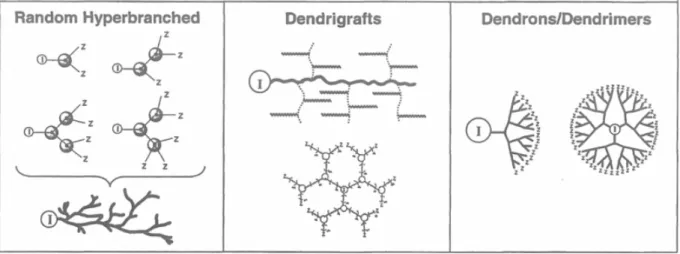 Figure 1.1: Dendritic polymers: from left to right, random hyperbranched polymers, dendrigrafts and dendrimers.