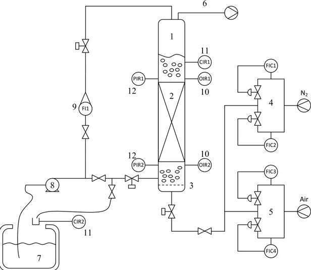 Figure 2.1 – Experimental set up: 1.column, 2. packing, 3. gas sparger, 4. nitrogen flow controllers,           5