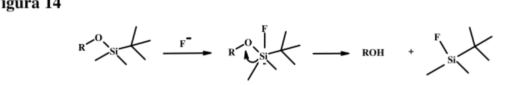 Figura 14  R O Si R O SiF ROH SiFF  -+