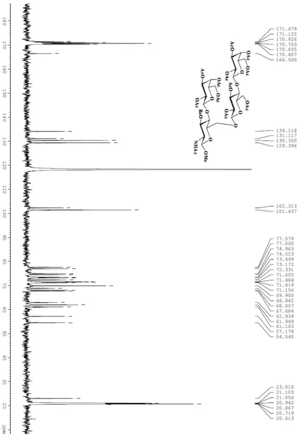 Figura 18. Spettro  13 C NMR del tetrasaccaride 39 