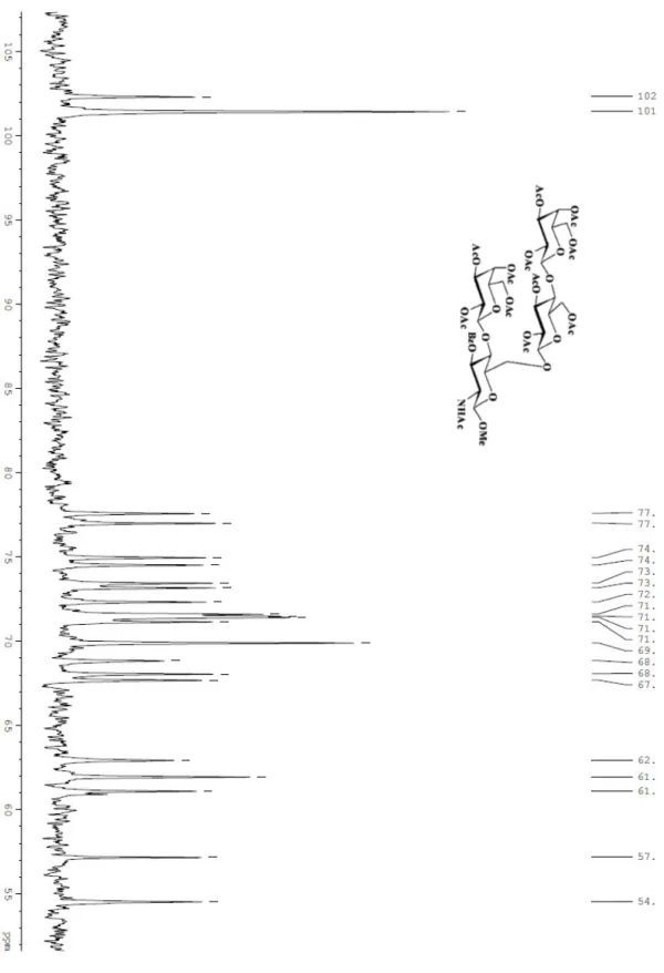 Figura 19. Spettro  13 C NMR (intervallo 52-107 ppm) del tetrasaccaride 39 