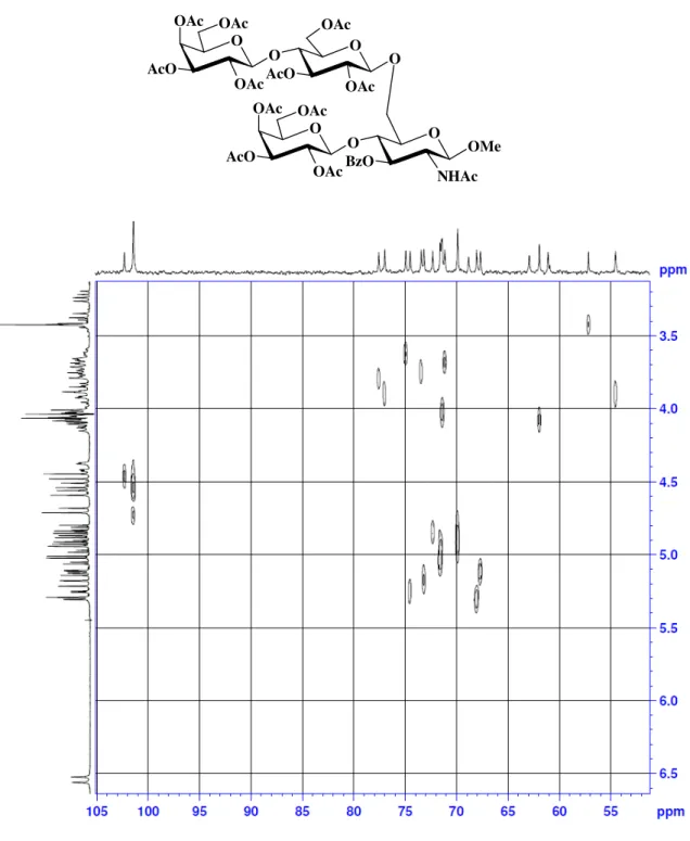 Figura 22. Spettro HETCOR del tetrasaccaride 39  O OAc OO OAcOAcOAcOOAcAcOAcO O O NHAcOAcOAcOOAc