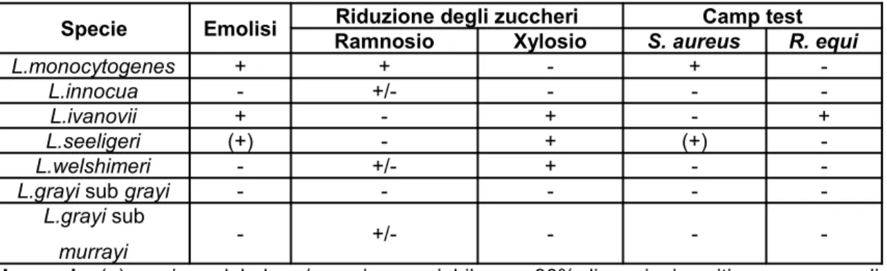 Tabella   6:  Interpretazione   delle   prove   per  l’identificazione   di  Listeria  spp  (ISO  11290- 11290-1:1996 Amd.1:2004).