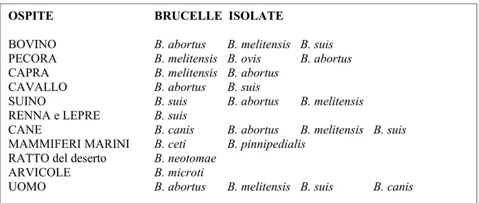 Tabella 2. Brucelle isolate negli animali e nell’uomo (Cerri, 2009)