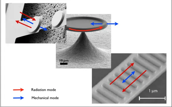 Figure 2.1: Some typical setups for optomechanic experiments (figure taken from [3]). From top-left to bottom-right: micromirrors in a FP [8], microtoroidal cavities [15] and photonic crystal optomechanical cavities [16],[17]