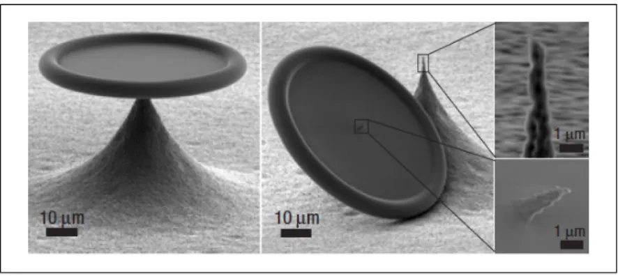 Figure 2.8: Image of a microtoroidal cavity similar to the one used in experiment [22].