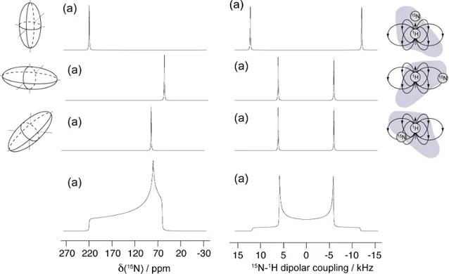 Fig.  17.  Numerical simulation of  the  NMR spectrum  for three particular sample  orientations  (a-c)  and  for a static  powder  patterns  (d) of a  13 C carbonyl chemical shielding  tensor (left) and of a amide  1 H- 15 N  dipolar coupling tensor (righ