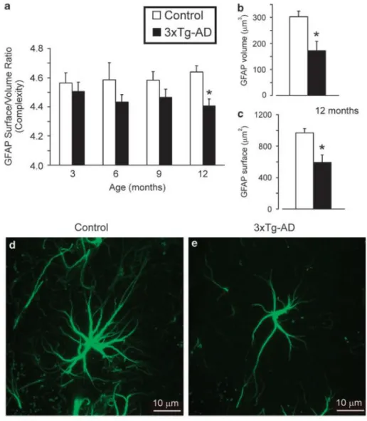 Figura 7 Bar graphs showing the complexity (a) of glial cytoskeleton by measuring the GFAP area coverage versus vo- vo-lume ratio of within the molecular layer of the dorsal dentate gyrus of both control and 3xTg-AD mice at different ages