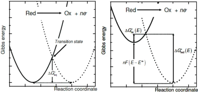 Figure 8. Potential dependent Gibbs free-energy as a function of a reaction coordinate: at the equilibrium (left),  at electrode potentials 