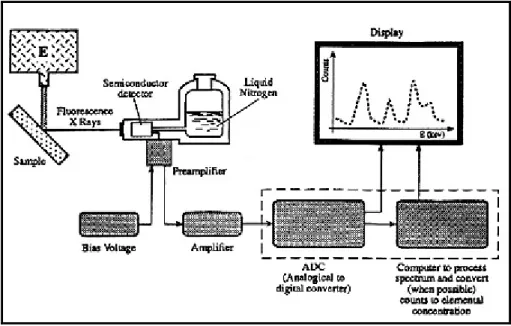 Figura 4 - Schema di principio di uno spettrometro XRF (Lab.Dip. Energetica) 