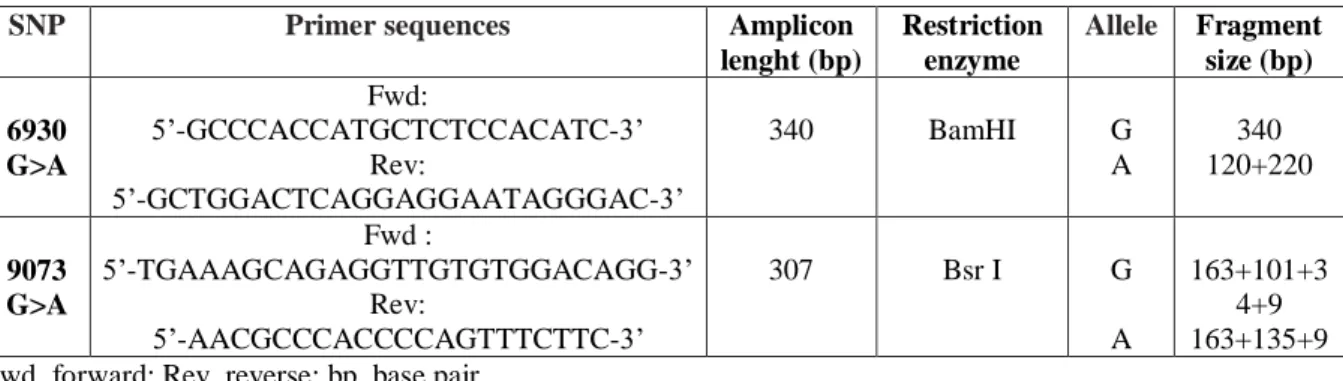 Table  1.  Nucleotidic  sequence  of  primers  and  lenght  of  amplicons  for  polymerase-chain  reactions,  names  of      restriction enzymes and size of fragments for restriction fragment length polymorphism method
