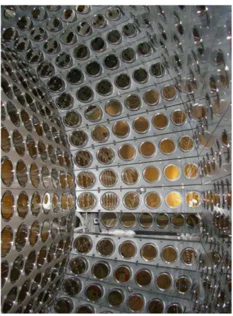 Figure 2.18: Picture of photomultipliers mounted on internal aluminum and peek structure.