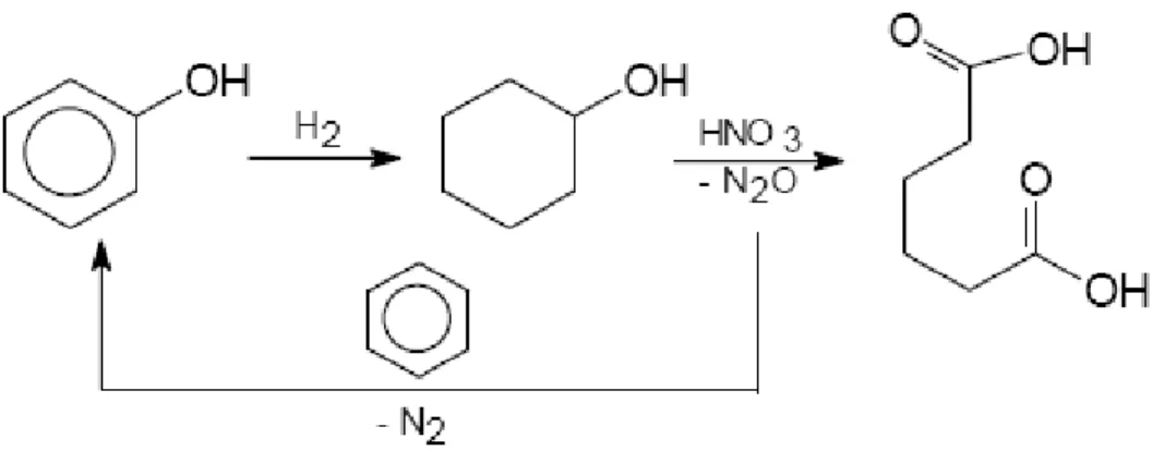 Figura 10: schema della reazione per la reintegrazione dell’N 2 O. 