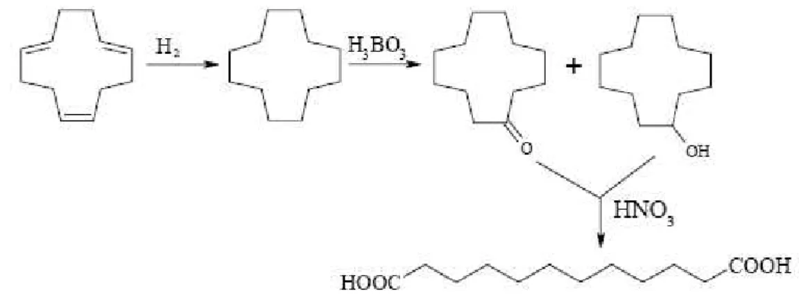 Figura 12:  processo classico per la produzione di ciclododecanone. 