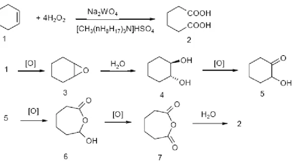 Figura 14: meccanismo di reazione di ossidazione di cicloesene con H 2 O 2.