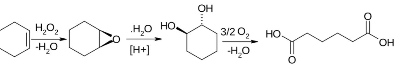 Figura 15: meccanismo di reazione per la sintesi di acido adipico a 2 stadi a partire da cicloesene