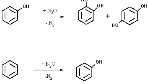 Figura 10: schema di reazione di idrossilazione del fenolo e del benzene. 