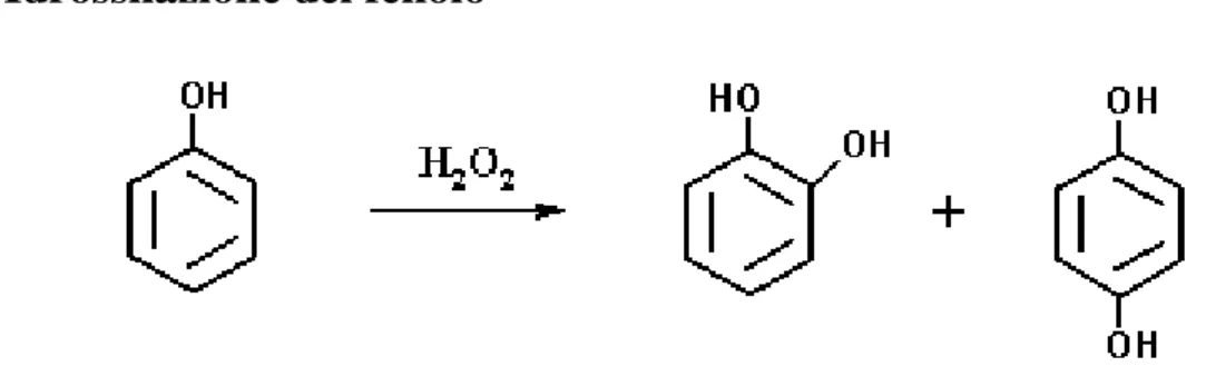 Figura 4: idrossilazione del fenolo. 