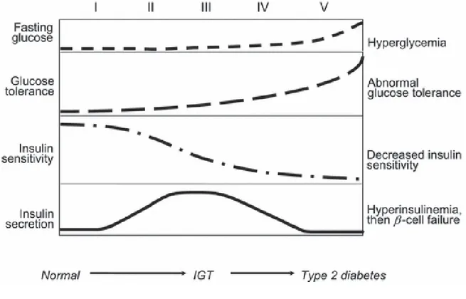 Figura 1: Decorso naturale del Diabete di tipo II 