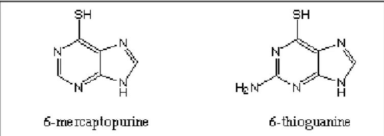 Figura 1. Formule di struttura di 6-mercaptopurina   e 6-tioguanina 