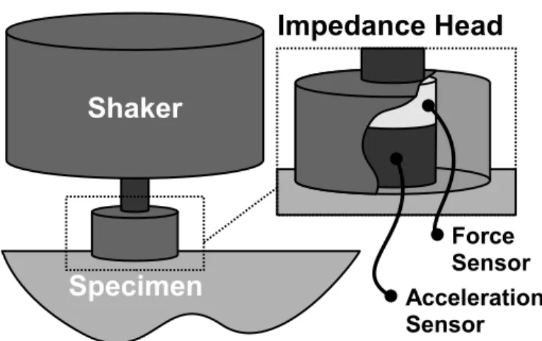 Figure 2.1: Typical set-up for the characterization of mechanical impedance.