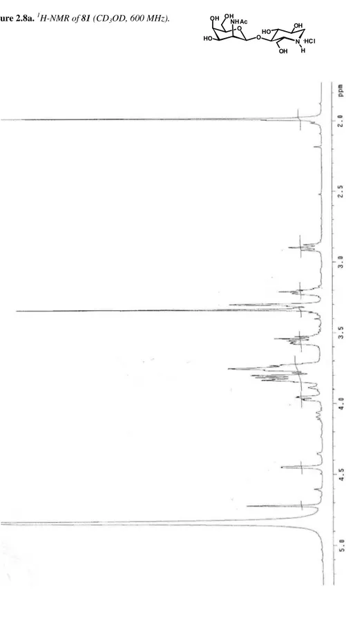 Figure 2.8a.  1 H-NMR of 81 (CD 3 OD, 600 MHz).   OOH HO NHAcOH O HO N OH OH H. HCl
