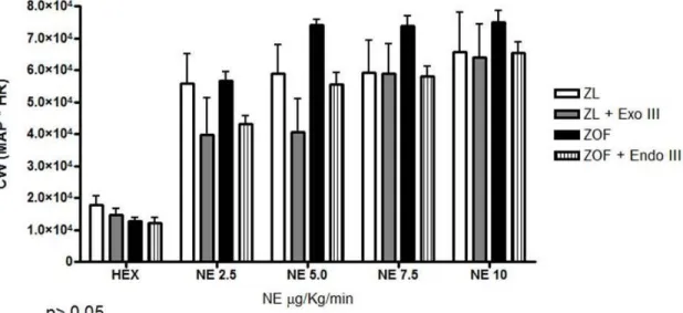 Figura 5: In questo grafico sono riportati i valori di DP (MAP*HR) raggiunti nei 4 gruppi di studio durante  stress  con  NE  a  dosi  crescenti  (NE  2.5-10  µg/Kg/min)