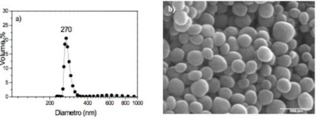 Figura  6:  Silice  amorfa  –  particelle  mesoporose  (MCM-41).  a)  Distribuzione  granulometrica  (%  in  volume,  metodo DLS) e b) micrografia SEM- Field Emission del campione MCM-41 250 nm 