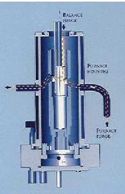 Figura 3.11 – Sezione della fornace della TGA Q500 e visualizzazione dei percorsi dei gas di flussaggio
