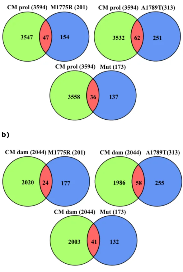 Fig. 3: Intersections among the lists of differentially  expressed genes and “Cell Proliferation” (a) and “DNA  damage and repair” (b)