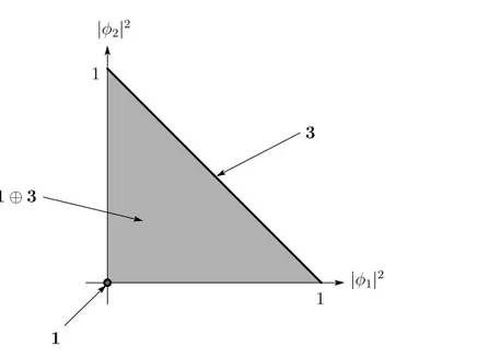 Fig. 5.3: W CP (2,1,1) 2 in the gauge 2 |η| 2 + |φ 1 | 2 + |φ 2 | 2 = 1. The diagonal edge corresponds to the triplet state 3 and the origin to the singlet state 1